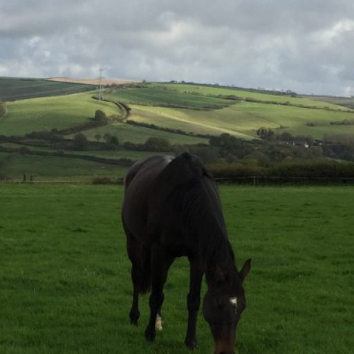 01 July 2025 – 04 July 2025 Make Hay When Sun Shines